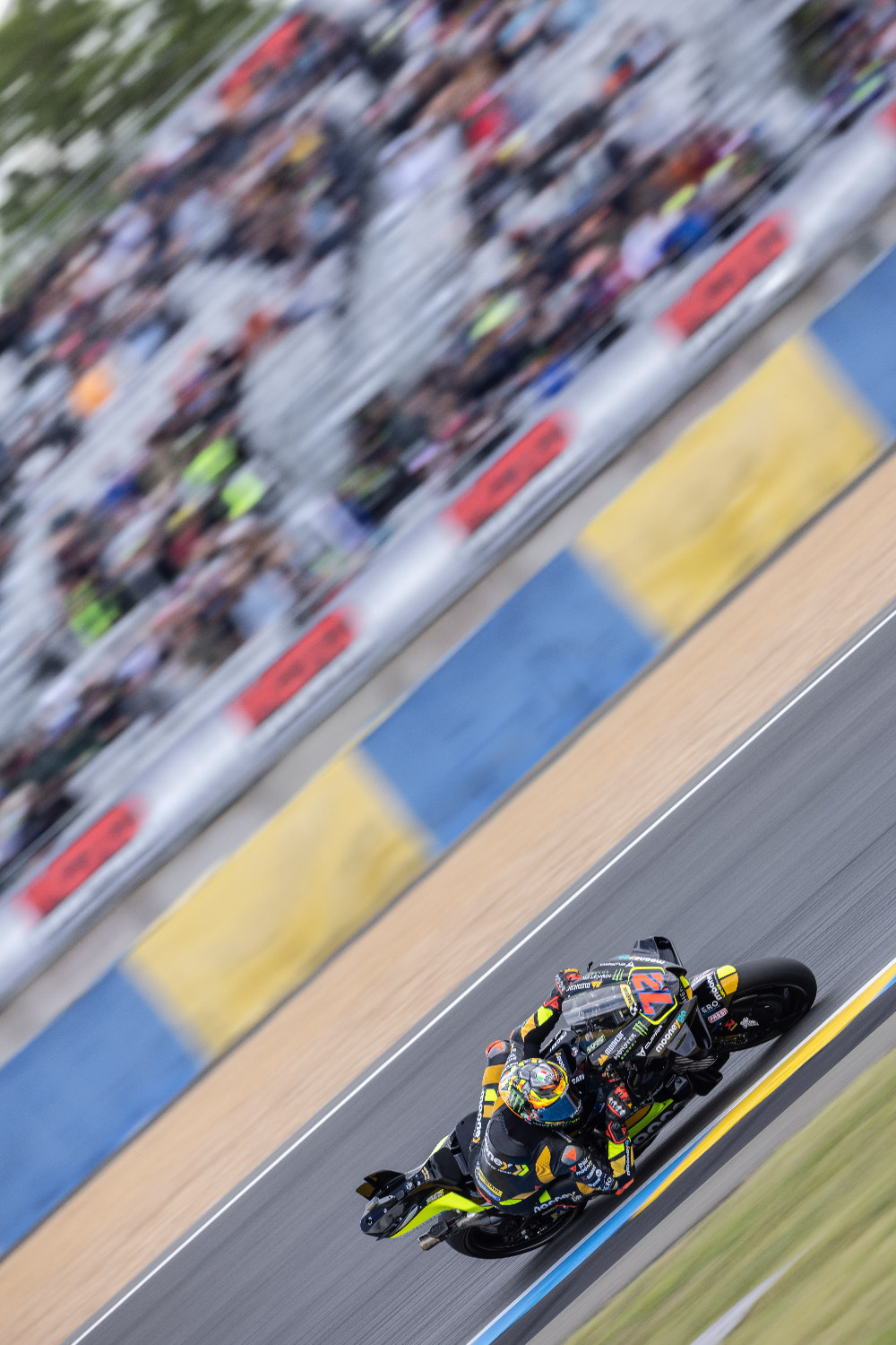 Marco Bezzecchi MotoGP Grand Prix de France Le Mans
